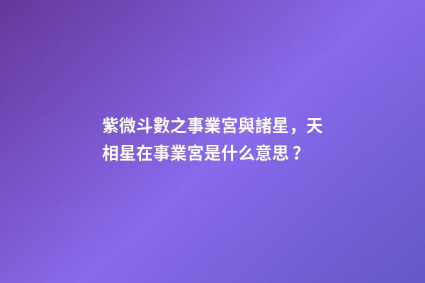 紫微斗數之事業宮與諸星，天相星在事業宮是什么意思？